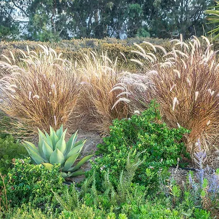 Villa White Mykonos *